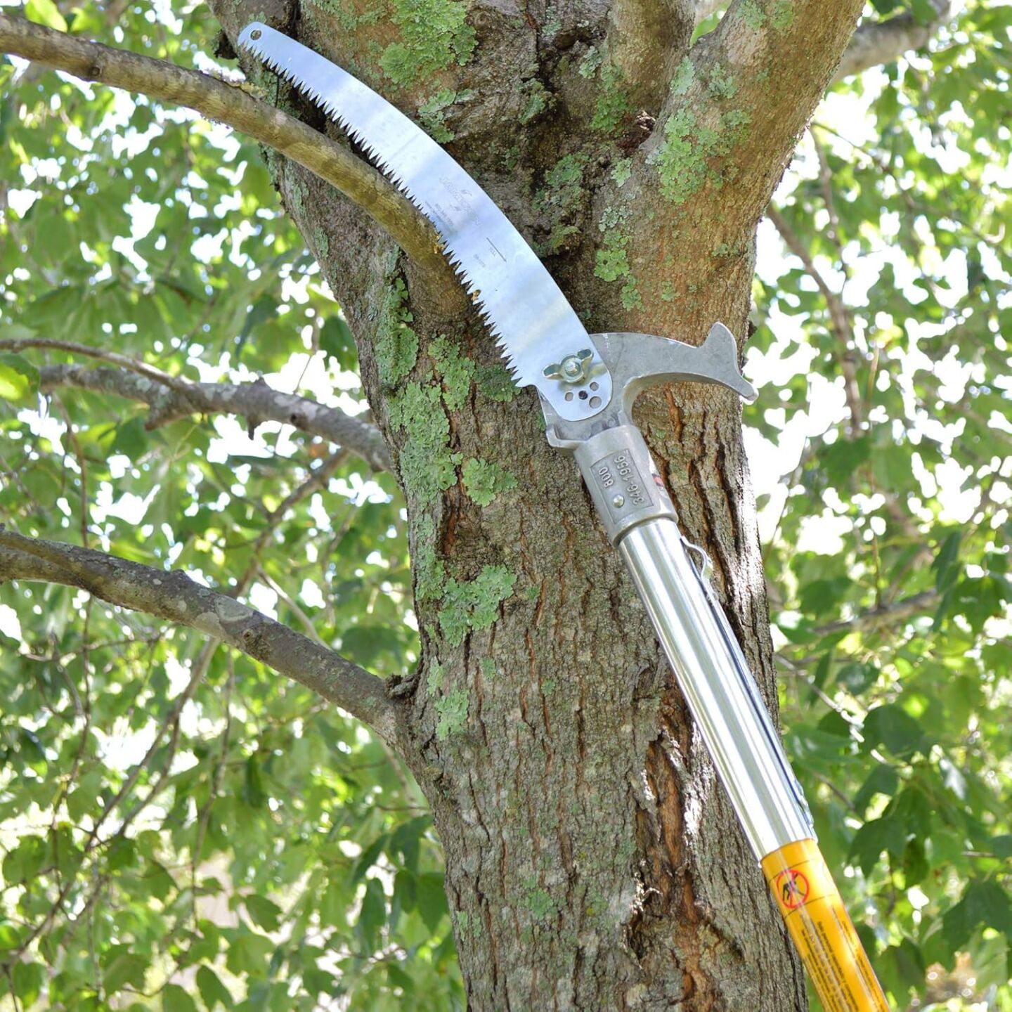 Getting Your Yard and Trees Ready for the Fall